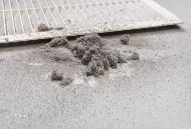 Best Emergency Air Duct Cleaning  in Tunica, MS